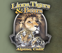 Lions, Tigers & Bears
