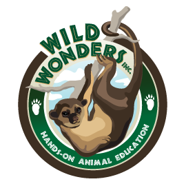 Wild Wonders