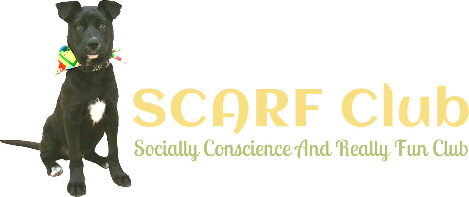 Scarf Club Logo